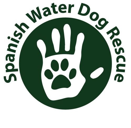 Spanish Water Dog Rescue